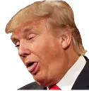 trumpretard