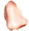 DeerNose