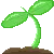 sprout