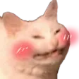 Cat Blush Cat_Blush Discord Emoji