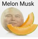 melonmusk