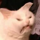 catmweh