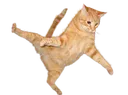 is