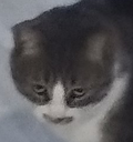 endme Discord emoji