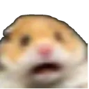 kemscared Discord Emoji