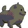 Danceboye
