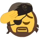 salute