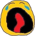bua bua