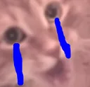 CatSad