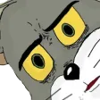 tomconfused
