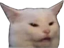 catWUT