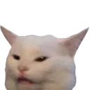 DisgustCat