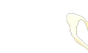 splat2