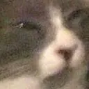 suspicion suspicion