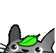 Oppeeku2