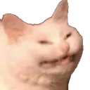 ECh