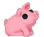 pig_slide