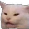 catreee catreee