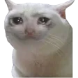 cri