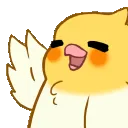 birbwave2