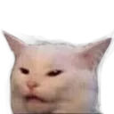 blamecat blamecat