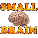 small_brain small_brain