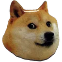 doge