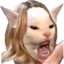madcatlady