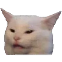 dinnerCat
