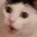 orianScream