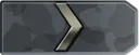 1silver