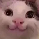 happy