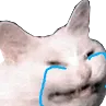 Cry