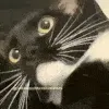 mauaaaaa