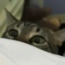 oliverScared