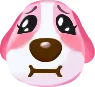cookie