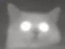 gooba