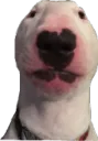 walter walter