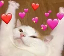loev