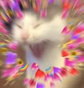 happynessnoises