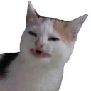 :bananaCat: Discord Emote