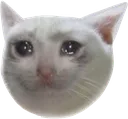 sadcate