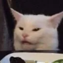 disgust