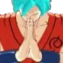 PrayerGoku