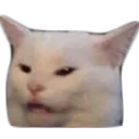 Confusedcat confusedCat Discord Emoji