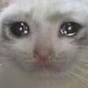 :despair: Discord Emote
