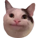 okaycat Discord Emoji
