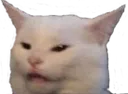 cat_what