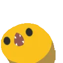 scree
