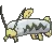barboach